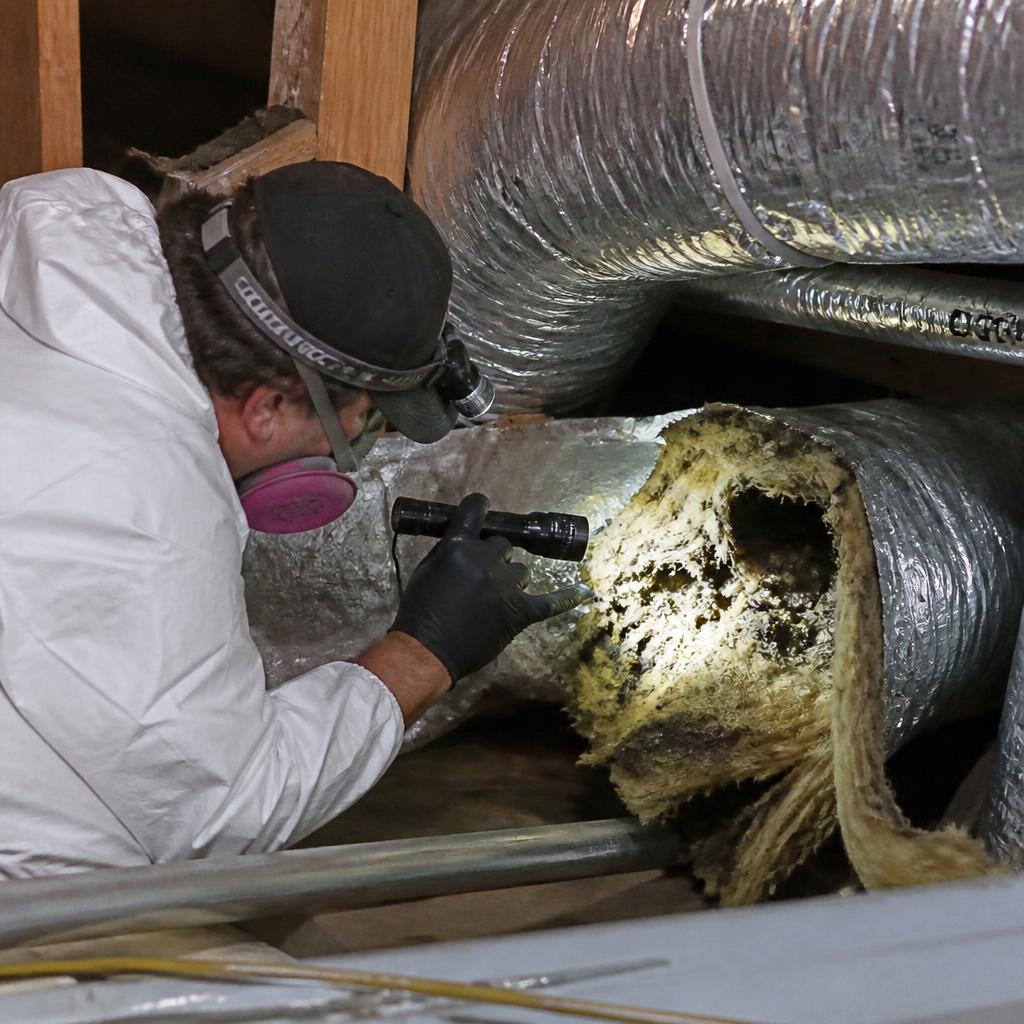 Rodent & Pest Removal from Ducts